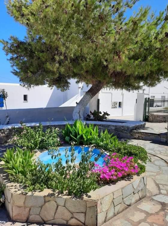 Livadakia Medusa Accommodation מראה חיצוני תמונה